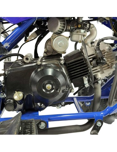 PROMO!!!!  Quad KRAFTMULLER Carbone 125 cc 8" + Marche arrière BLEU