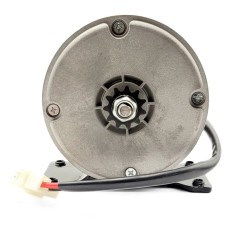 Moteur de draisienne BUD RACIND E PUSH / KRAFTMULLER BB1 24 V 100W