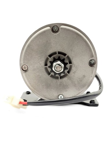 Moteur de draisienne BUD RACIND E PUSH / KRAFTMULLER BB1 24 V 100W