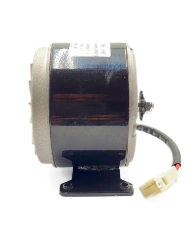 Moteur de draisienne BUD RACIND E PUSH / KRAFTMULLER BB1 24 V 100W